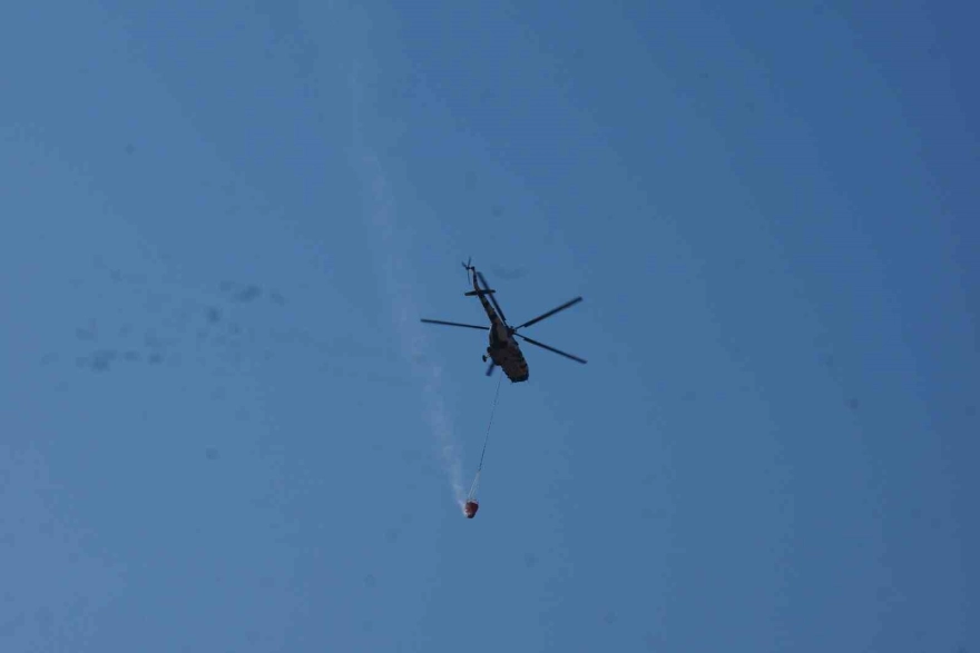 Tarım arazisindeki yangın ormanlık alana sıçradı, müdahale sürüyor