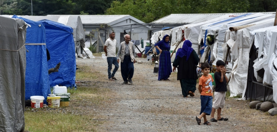 Fındık Hasadı Başlıyor: İşçiler Çalışmak İçin Akın Etti