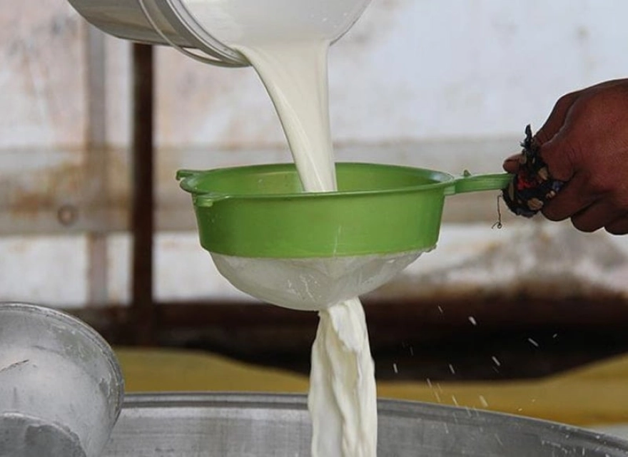 En sağlıklı süt inek ve koyun sütünün önüne geçti: İşte uzmanların önerdiği süt