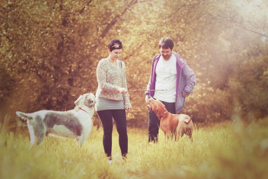 Eski 650 Milyon Dolarlık Teknoloji Şirketi Wag İflas Başvurusunda Bulundu