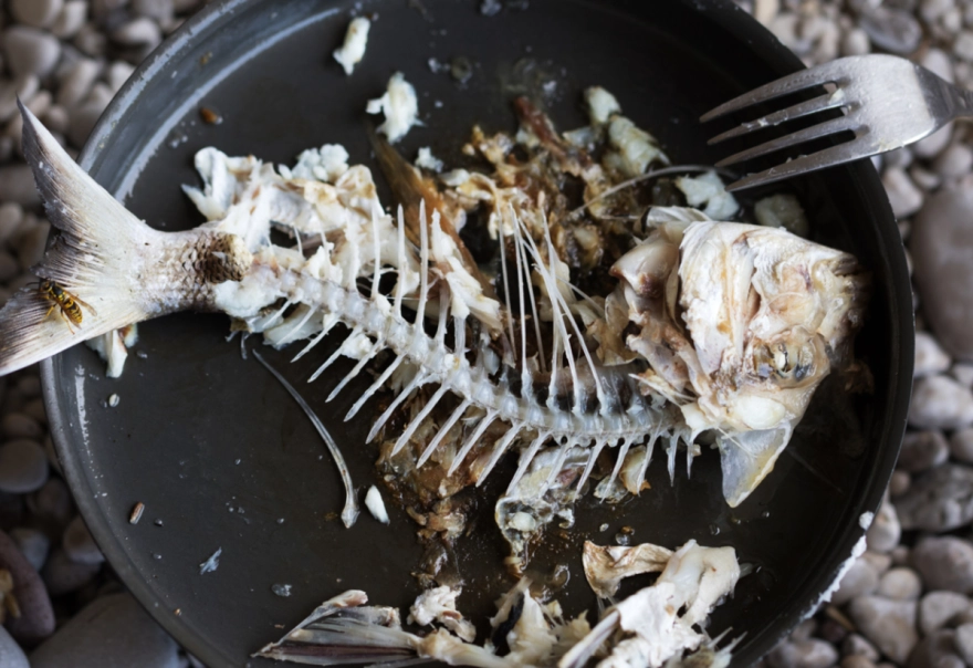 Boğaza kaçan balık kılçığından kurtulmanın en etkili ve hızlı yöntemleri