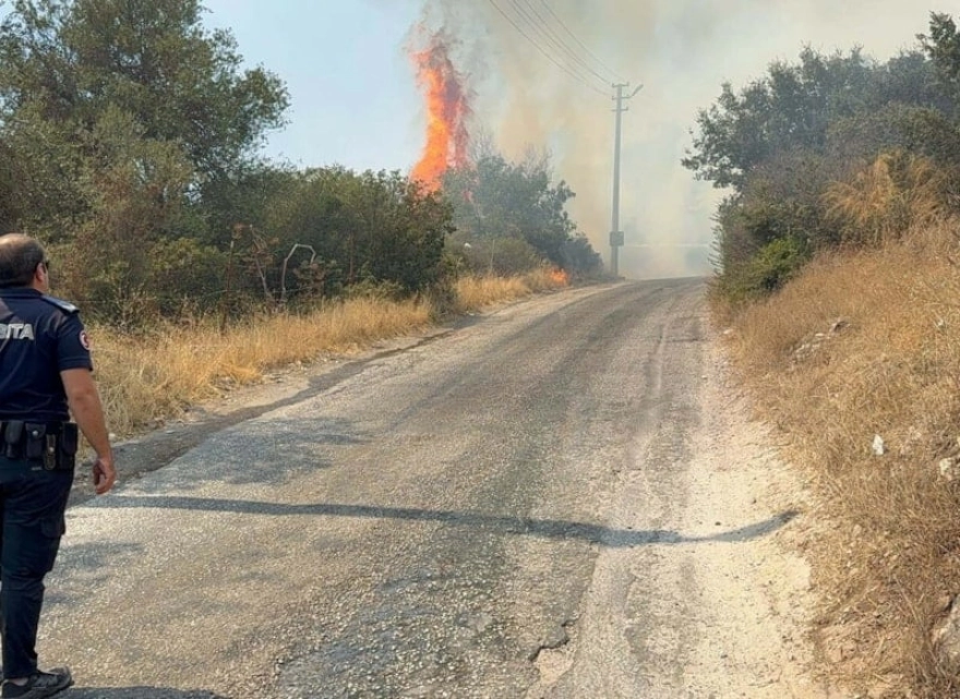 Bodrum'da makilik alanda yangın çıktı