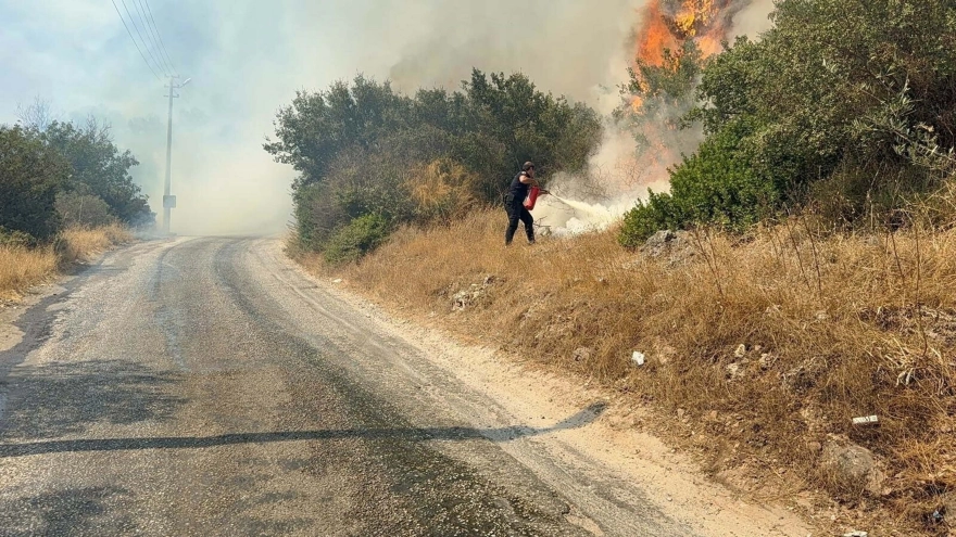 Bodrum'da makilik alanda yangın çıktı