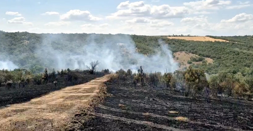 Tekirdağ'da yeniden alevlenen yangına müdahale sürüyor