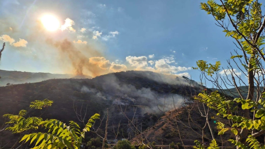 Tekirdağ'da yeniden alevlenen yangına müdahale sürüyor