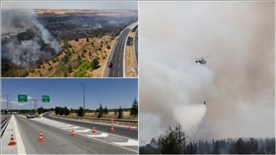 Kırklareli'ndeki ağaçlık alanda başlayan yangın kontrol altına alındı