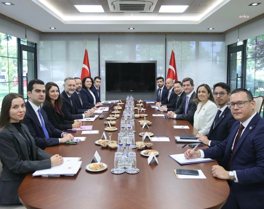 Dışişleri Bakan Yardımcısı Gümrükçü, Panomalı Mevkidaşıyla Buluştu