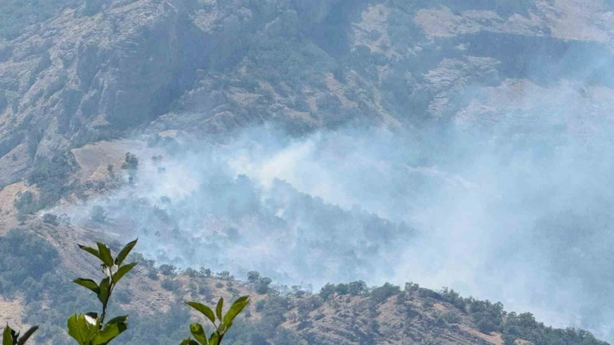 Şırnak'ta orman yangını, alevler kontrol altına alınamıyor
