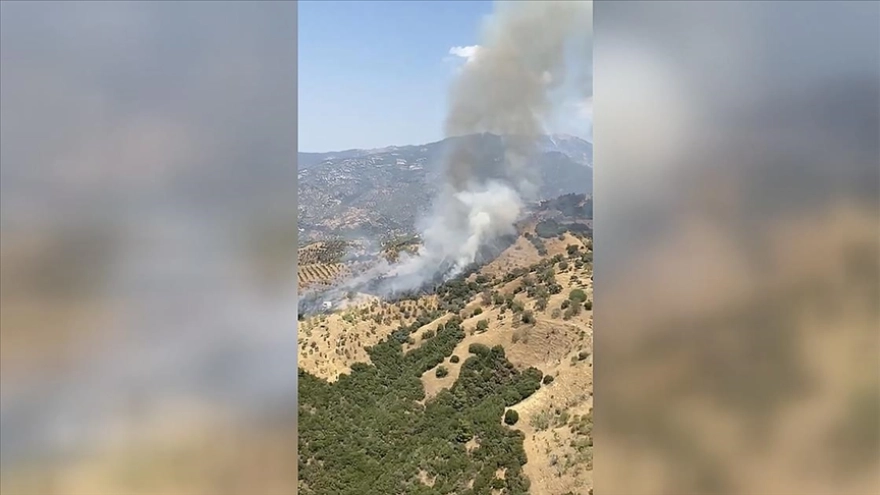 Aydın'da ziraat alanındaki yangına müdahale ediliyor