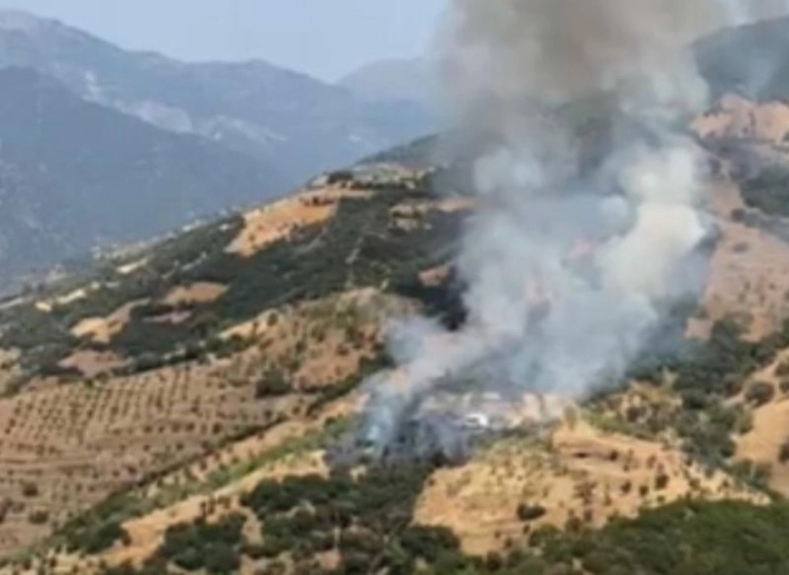 Aydın'da Zeytinlik Yangını: Havadan ve Karadan Müdahale Sürüyor