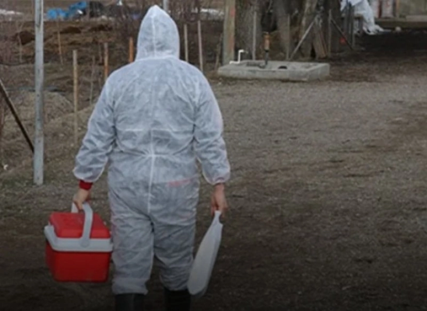 Sağlık Bakanlığı'ndan Tehlikeli Vibrio Bakterisi Açıklaması