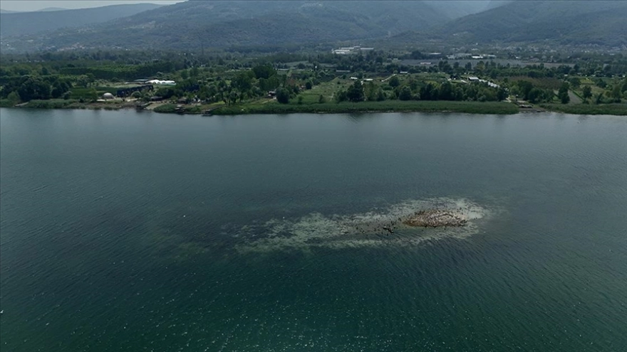 Su seviyesi kritik seviyenin altına inen Sapanca Gölü'nde tarihi kalıntılar ortaya çıktı