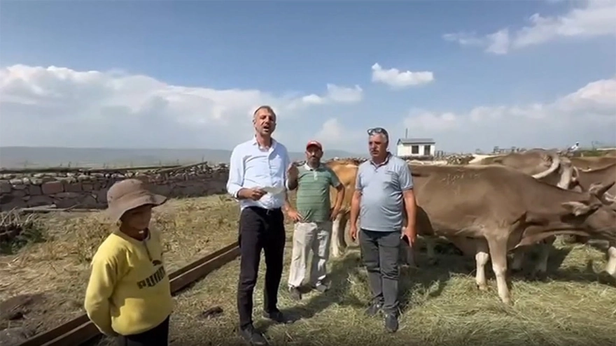 Doğu Anadolu'da şap hastalığı hızla yayılıyor, binlerce hayvan telef oluyor