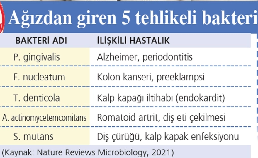 Diş Eti Kanaması ve Kalp Sağlığı Arasındaki Bağlantı
