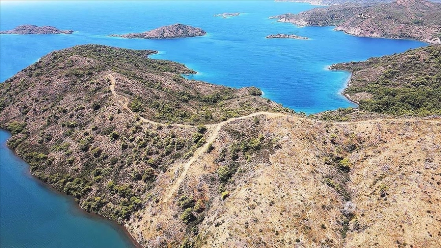 Muğla'nın Marmaris ilçesinde yangınlardan zarar gören ormanlar yeniden yeşeriyor