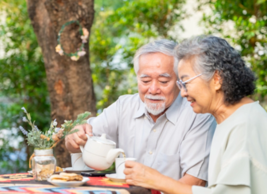 Asyalılar yüzyıllardır sütle karıştırıp içiyor: İşte sizi güzellik uykusuna yatıran o baharat