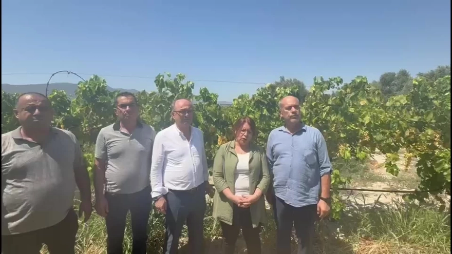CHP Denizli Milletvekili Gülizar Biçer Karaca, Tarım ve Orman Bakanlığı'na seslenerek kuru üzüm alım fiyatının en geç pazartesi günü açıklanmasını ve en düşük 140 lira olarak belirlenmesini talep etti.