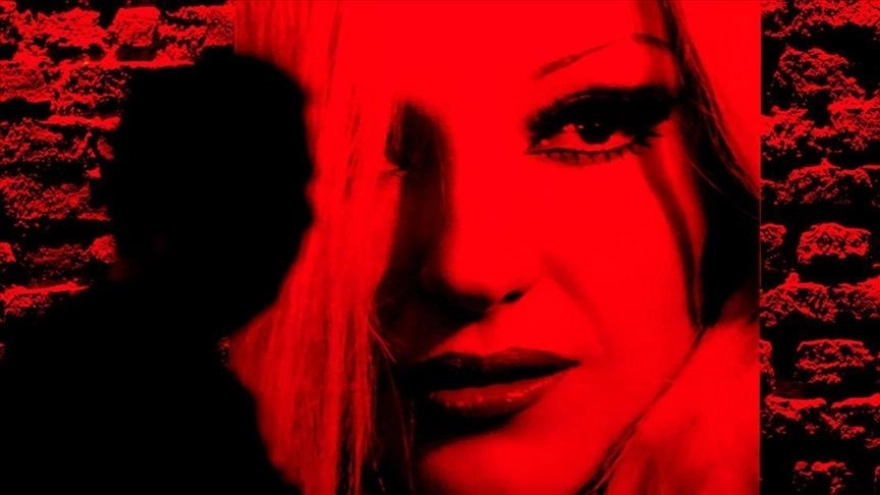 Ayla Dikmen: Türk Pop Müziğinin Efsanevi Adı