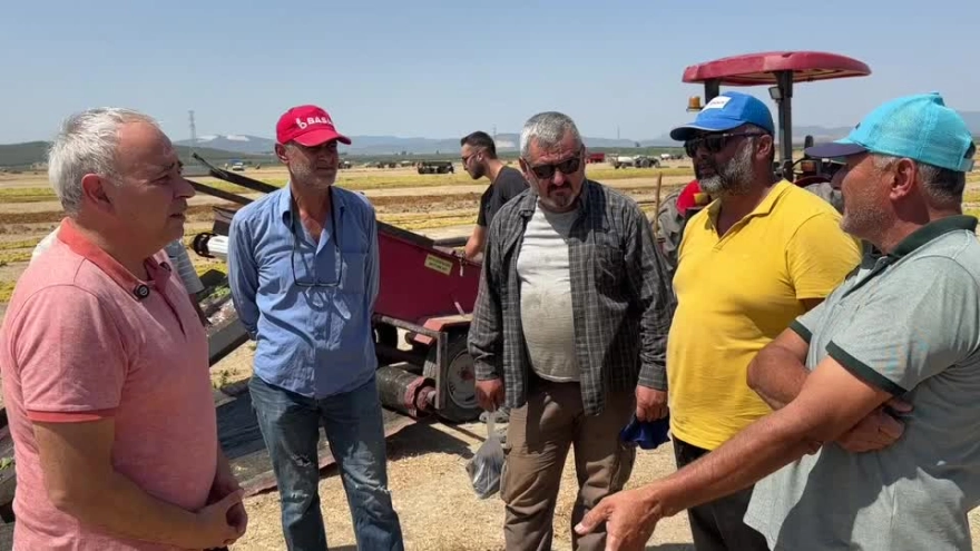 CHP'li Bakırlıoğlu'ndan üzüm üreticilerinin sorunlarına ilişkin açıklama: TARİŞ bir algı operasyonu yapıyor