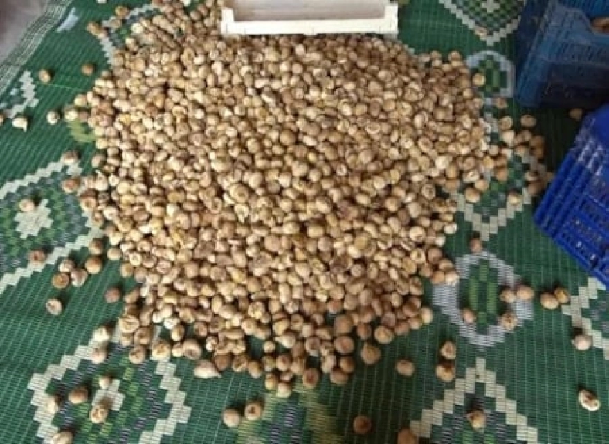 Nazilli'de incir üreticileri, sunulan fiyatların tatmin edici olmadığını belirtiyor.