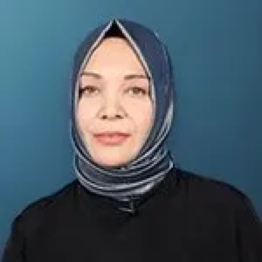 Emine Erdoğan'ın Vicdan Diplomasisi Hakkında Yazılar