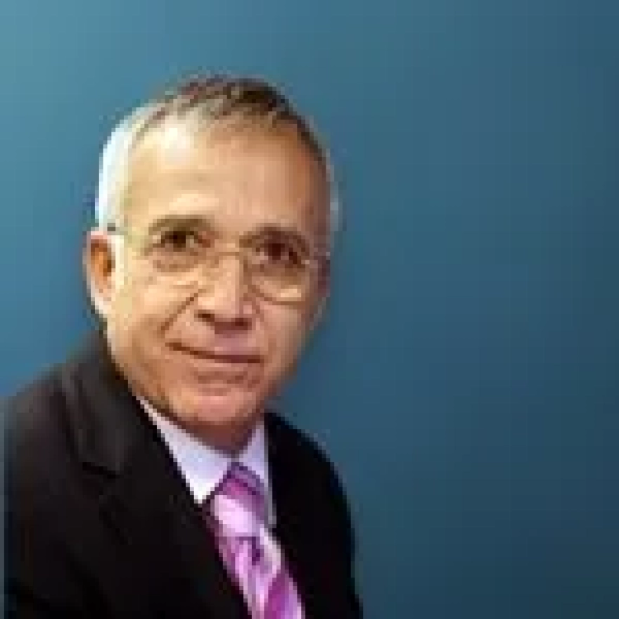 Emine Erdoğan'ın Vicdan Diplomasisi Hakkında Yazılar