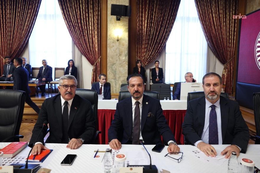 Milli Dayanışma Kardeşlik ve Demokrasi Komisyonu'nda 