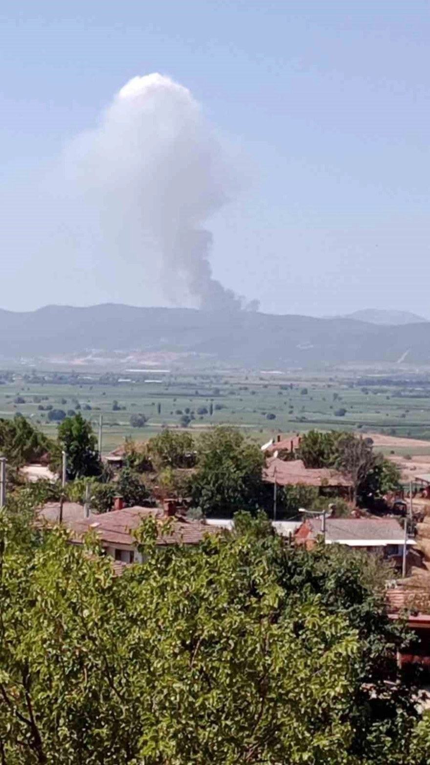 Bursa'da ormanlık alanda yangın çıktı