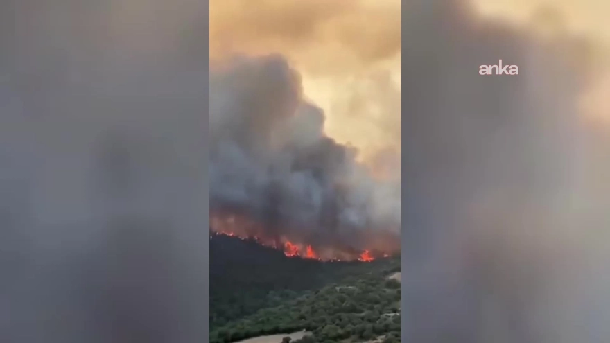 Bursa Valiliği, Yenişehir'deki orman yangınının kontrol altına alındığını açıkladı
