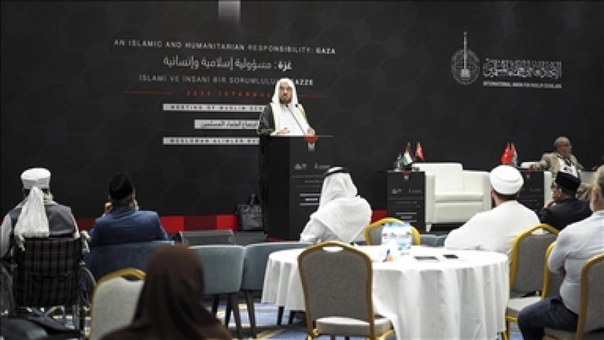 İstanbul'da düzenlenen 'İslami ve İnsani Bir Sorumluluk: Gazze' Konferansı Sona Erdi