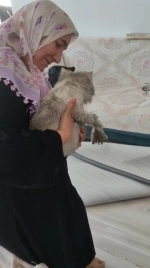 İtfaiye Ekipleri Bacada Mahsur Kalan Kediyi Kurtardı