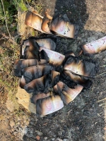 Yangında Küllere Dönen 80 Bin Lirası Merkez Bankası Tarafından Değiştirildi