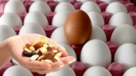 Beslenme Uzmanları Açıkladı: Bu 3 Kuruyemiş Yumurta Kadar Tok Tutuyor