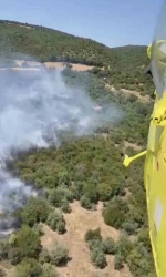 İvrindi’de orman yangını çıktı