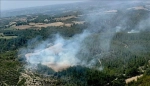 Adana'daki orman yangını denetim altına alındı
