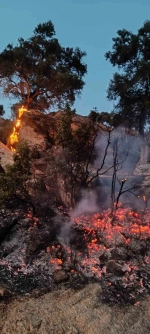 Bozdoğan'daki makilik yangınına güçlü müdahale
