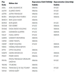 Borsa İstanbul'da 21 şirketin endeksi değişti! KAP açıklaması yapıldı!