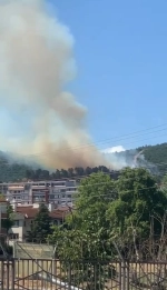 Kocaeli'de orman yangını çıktı