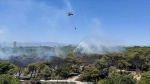 Antalya'da son bir haftada meydana gelen 37 orman yangınında 52 hektarlık alan etkilendi