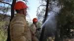 Yangın Söndürme Ekiplerinin Hatay'daki Zorlu Mücadelesi Devam Ediyor