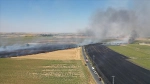 Yangın, Tekirdağ'daki Tarım Alanında Başladı ve Kontrol Altına Alındı