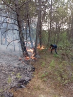 Karabük'ün Ovacık ilçesindeki örtü yangını kontrol altına alındı