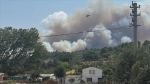 Çanakkale'de tarım arazisinde başlayan yangın ormanlık alana sıçradı