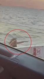 Feribot seferi sırasında intihar girişimi