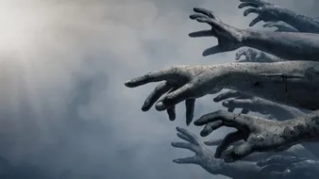 Gizemli mantar, örümcekleri zombiye çeviriyor ve bilim kurgu gerçek oluyor